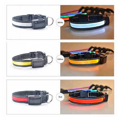 USB and Solar Charge Reflective Led Dog Collar | PetPals® - Stringspeed