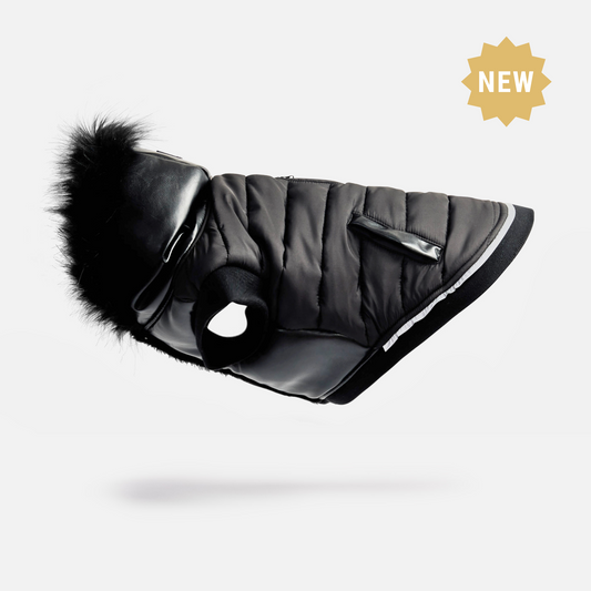 Blair Dog Jacket | PetPals® - Stringspeed