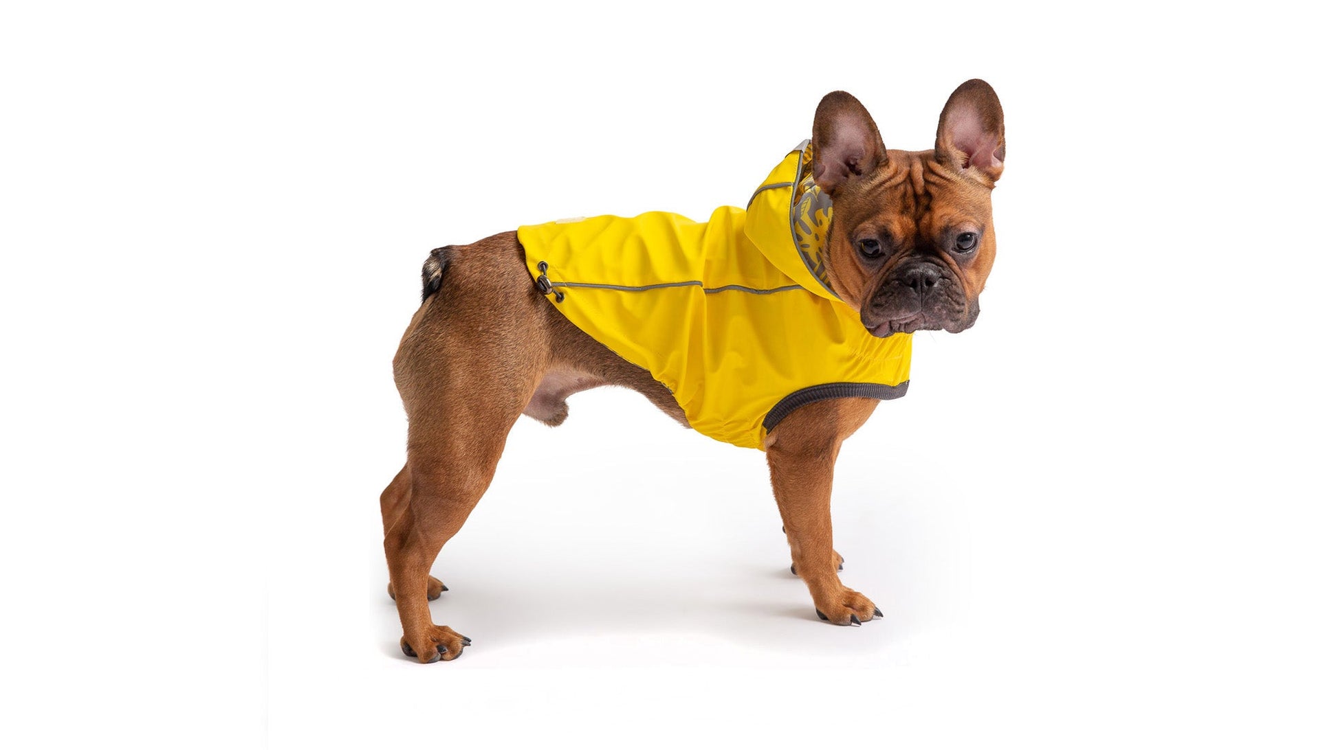 Reversible Elasto-Fit Raincoat | PetPals® - Stringspeed