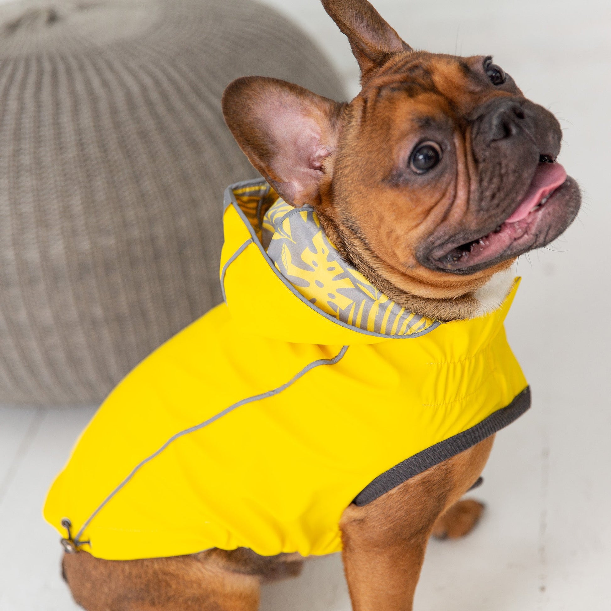 Reversible Elasto-Fit Raincoat | PetPals® - Stringspeed