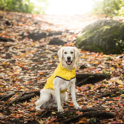 Reversible Elasto-Fit Raincoat | PetPals® - Stringspeed