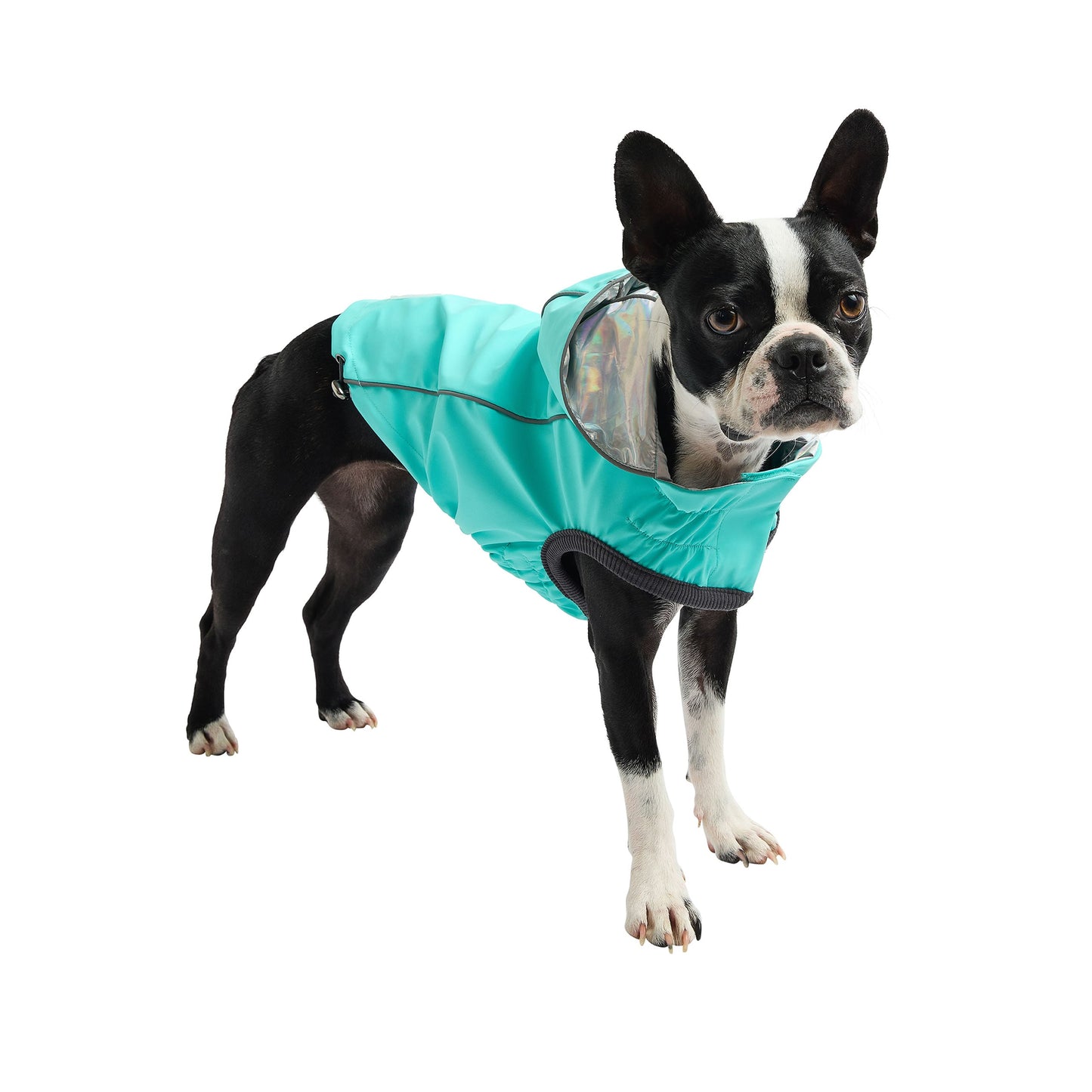Reversible Raincoat | PetPals® - Stringspeed