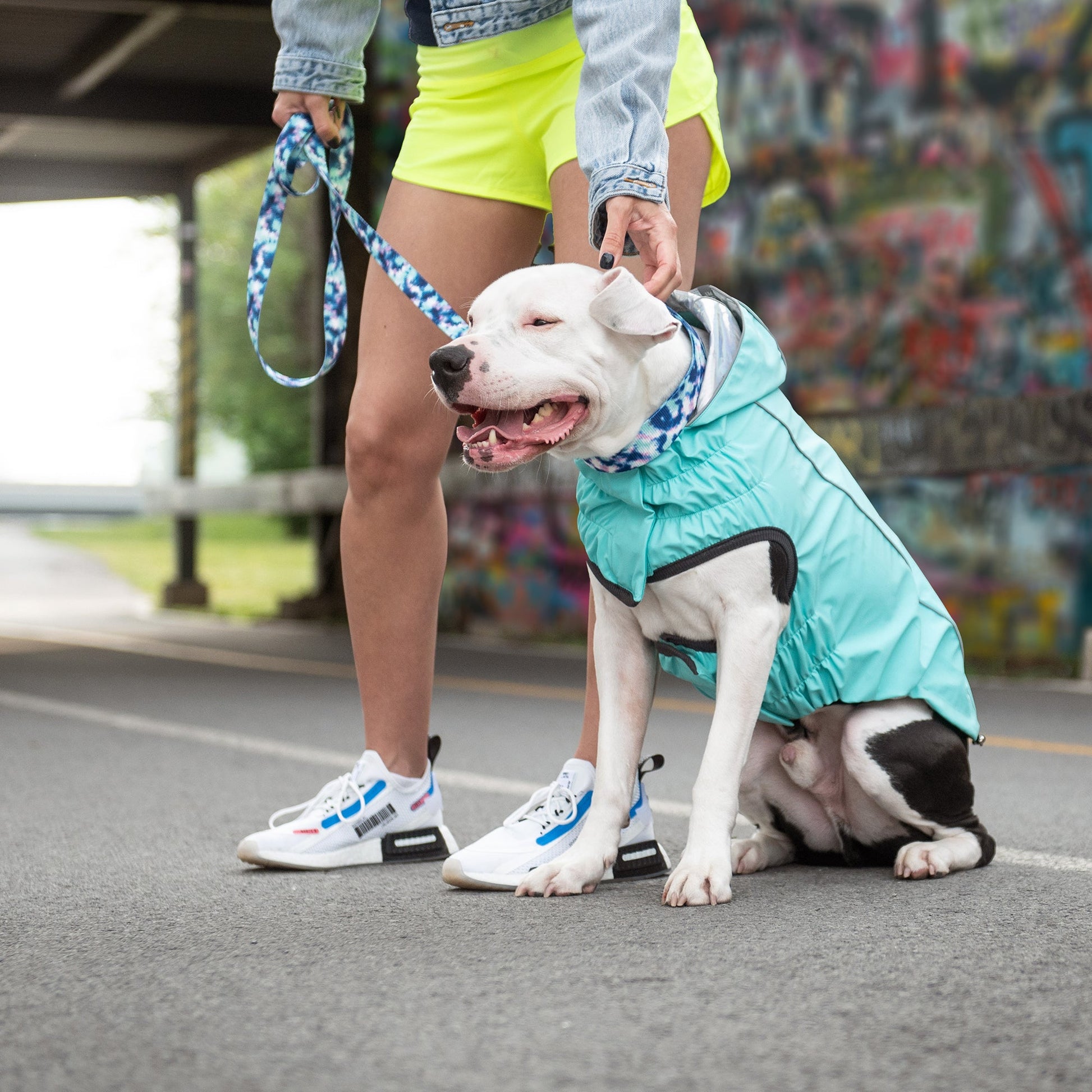 Reversible Raincoat | PetPals® - Stringspeed