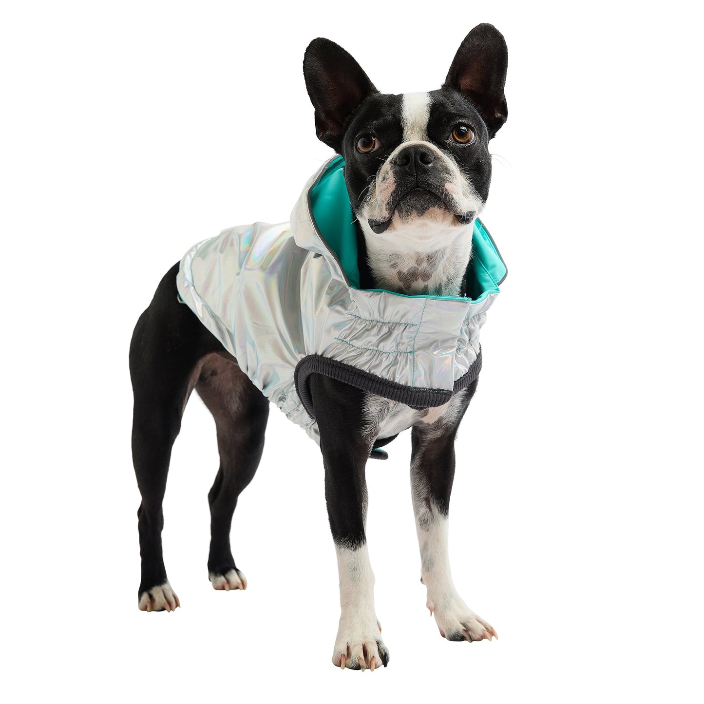 Reversible Raincoat | PetPals® - Stringspeed