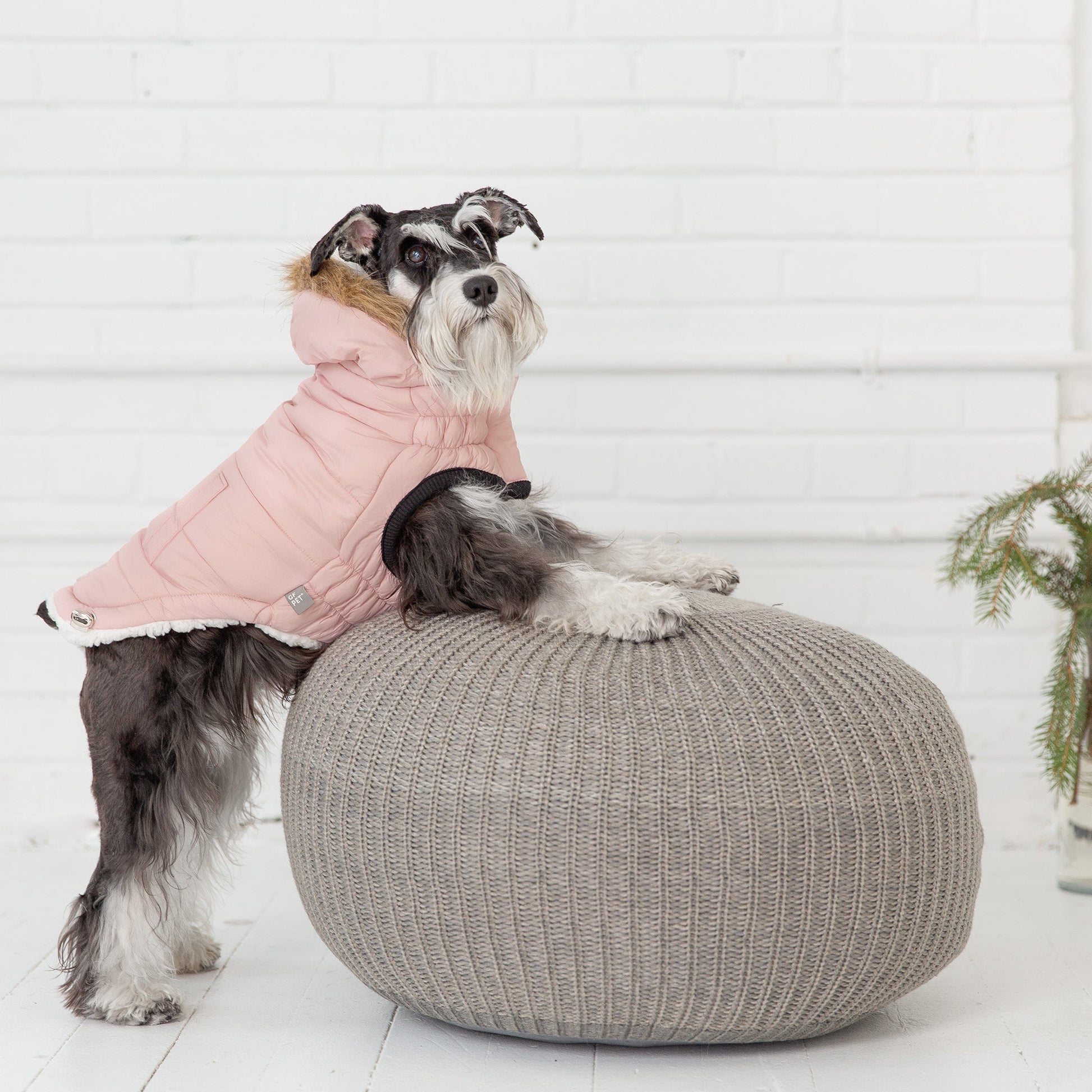 Urban Parka | PetPals® - Stringspeed