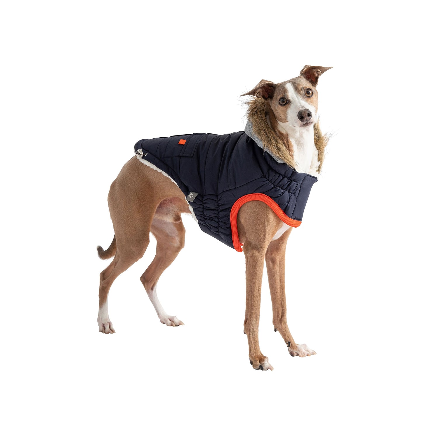 Winter Sailor Parka | PetPals® - Stringspeed