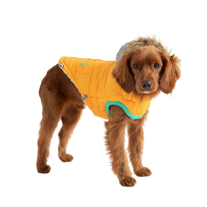 Winter Sailor Parka | PetPals® - Stringspeed