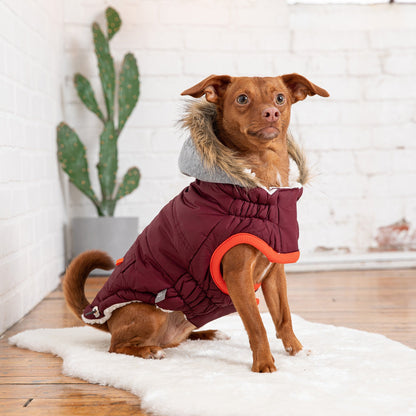 Winter Sailor Parka | PetPals® - Stringspeed