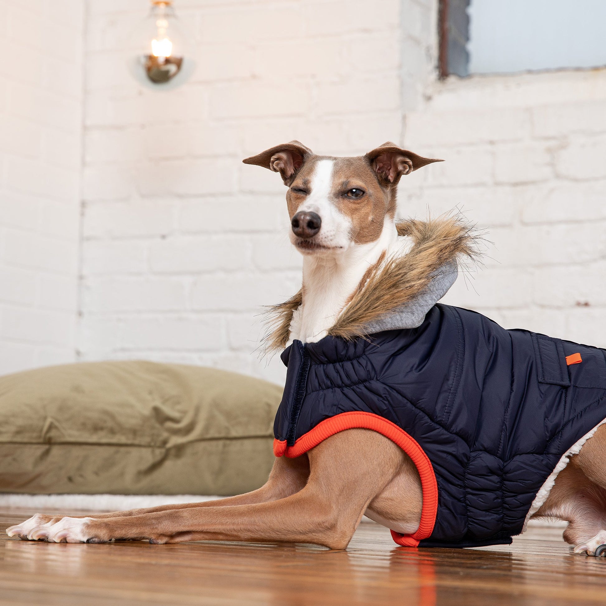 Winter Sailor Parka | PetPals® - Stringspeed