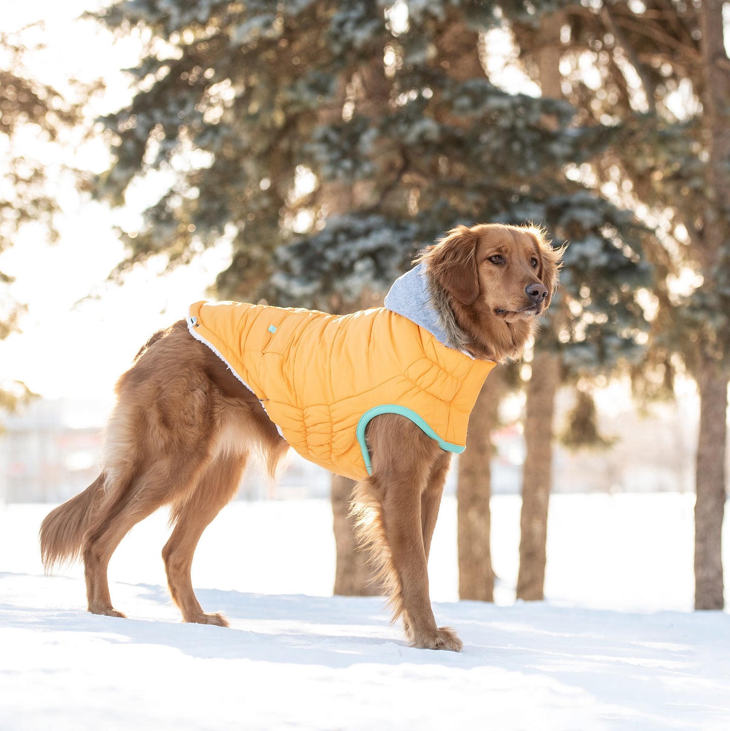 Winter Sailor Parka | PetPals® - Stringspeed