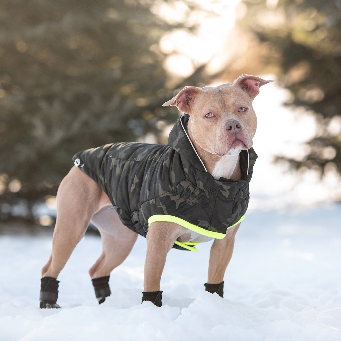 Recycled Parka - Camouflage | PetPals® - Stringspeed