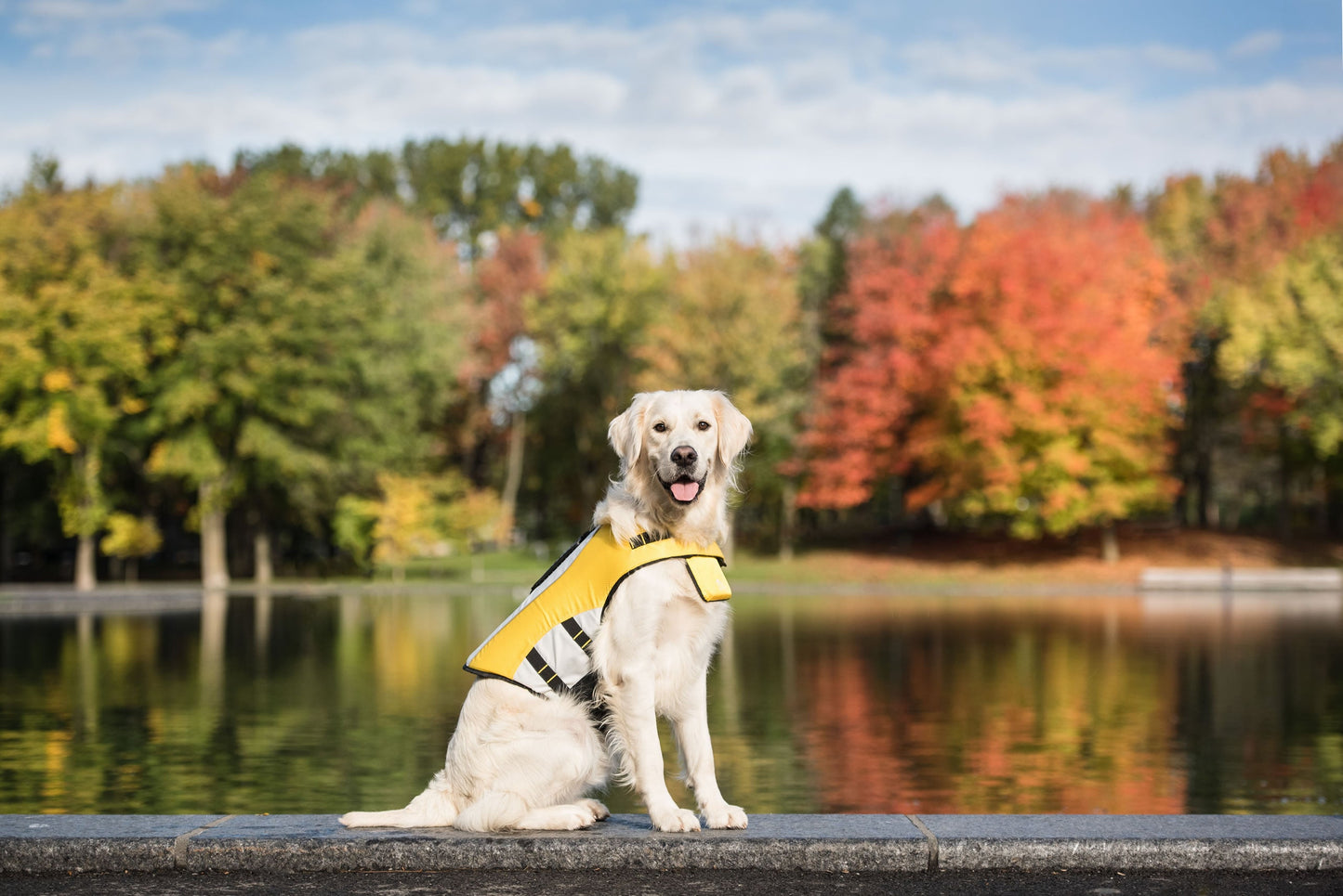 Dog Life Vest Jacket | PetPals® - Stringspeed