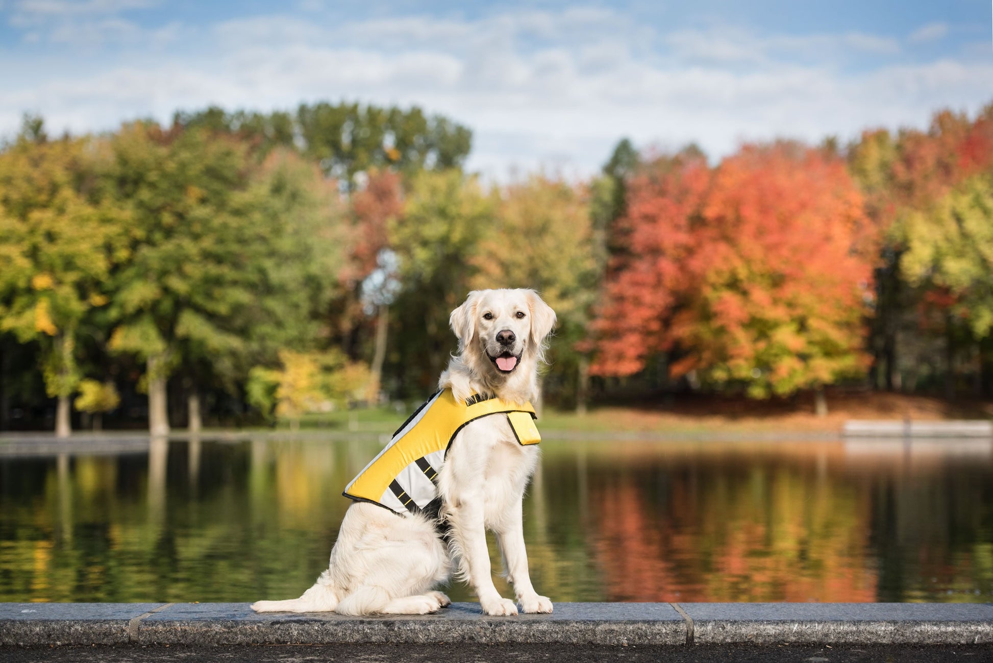 Dog Life Vest Jacket | PetPals® - Stringspeed