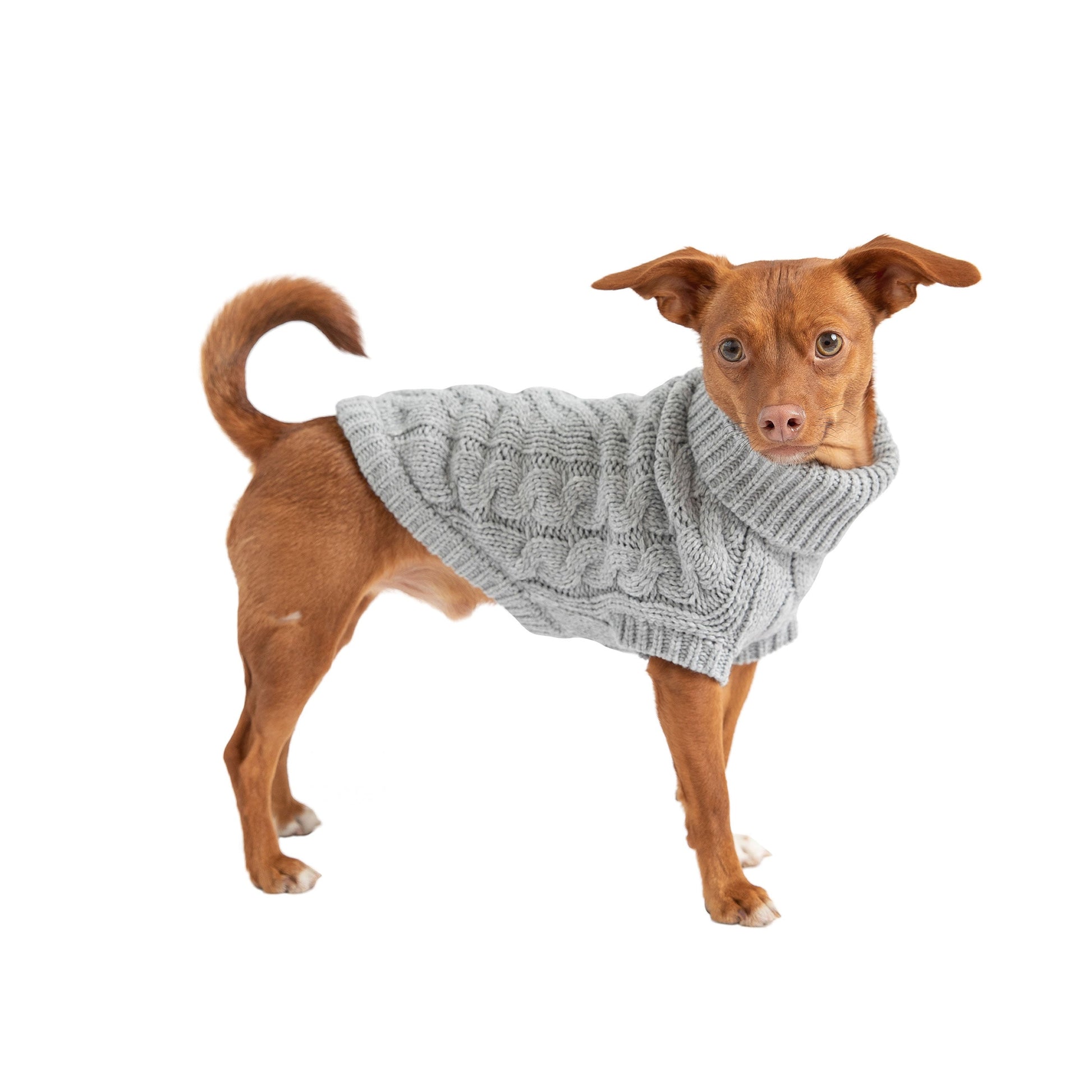 Chalet Sweater | PetPals® - Stringspeed