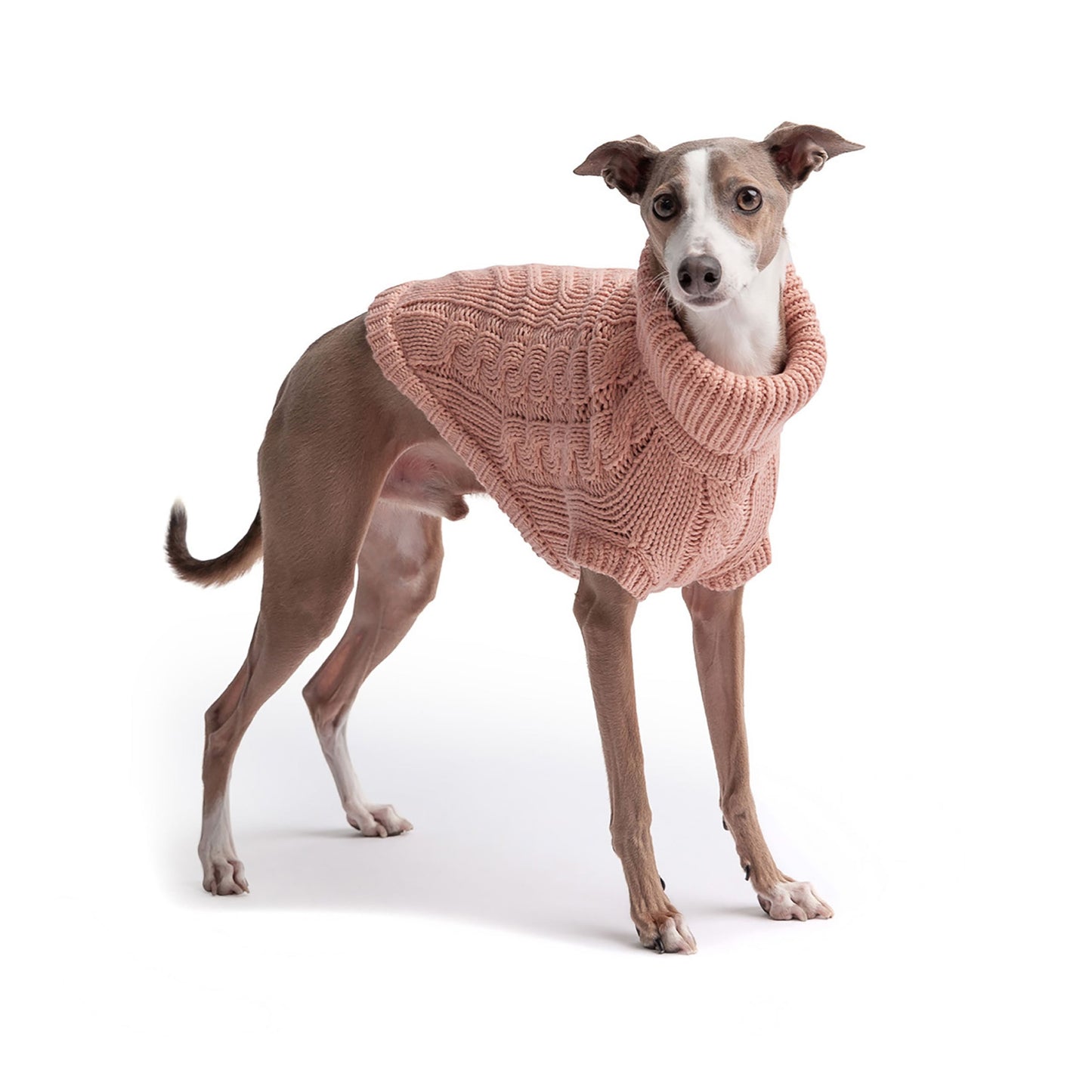 Chalet Sweater | PetPals® - Stringspeed