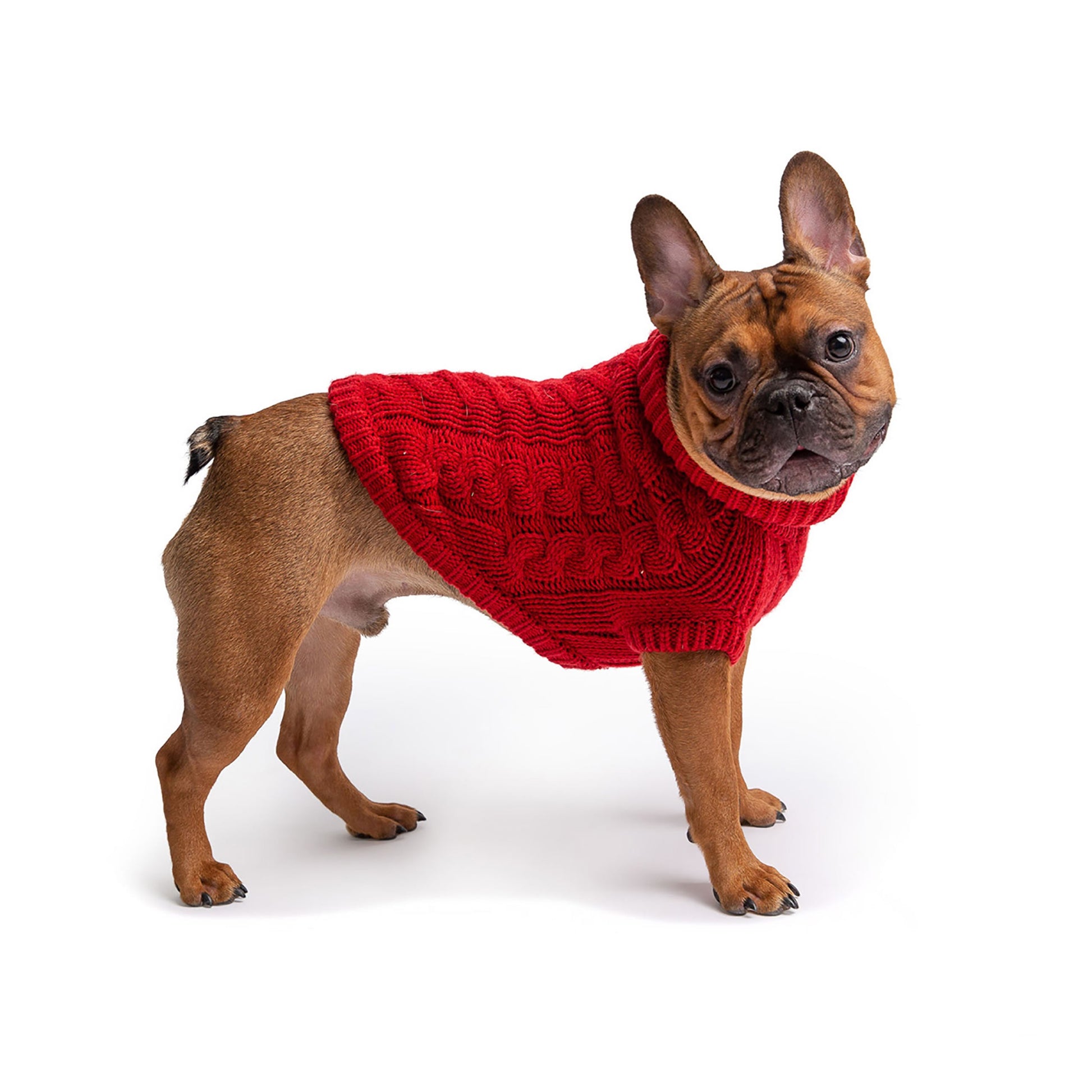 Chalet Sweater | PetPals® - Stringspeed