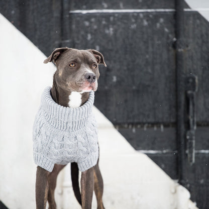 Chalet Sweater | PetPals® - Stringspeed