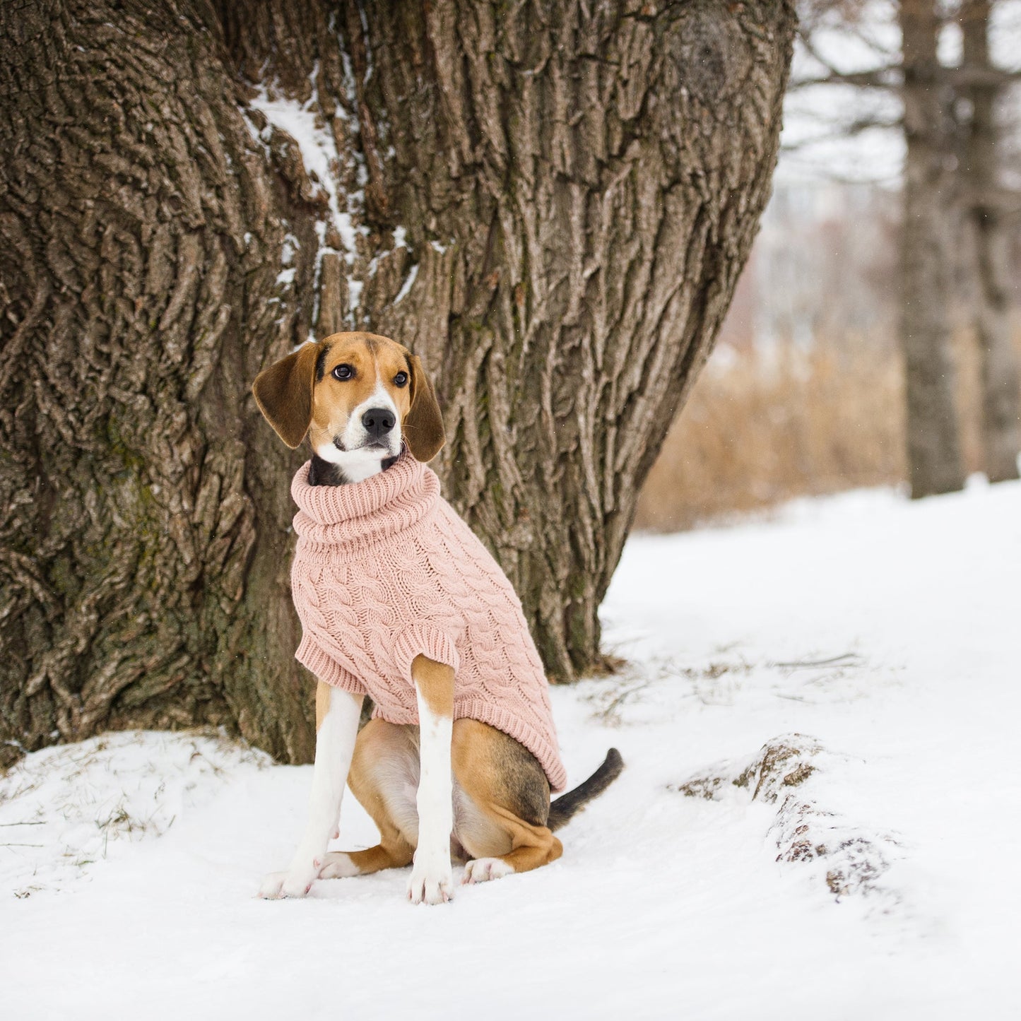 Chalet Sweater | PetPals® - Stringspeed