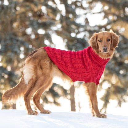 Chalet Sweater | PetPals® - Stringspeed