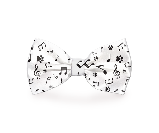 Jazzy Music Notes Dog Bow Tie | PetPals® - Stringspeed