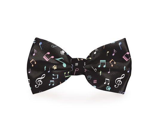 Music Notes Black Dog Bow Tie | PetPals® - Stringspeed