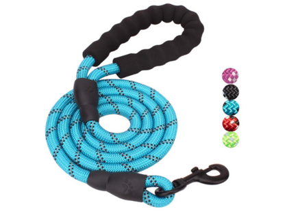 Yap & Paw Leash | PetPals® - Stringspeed