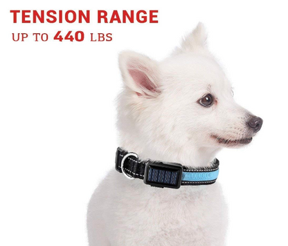 USB and Solar Charge Reflective Led Dog Collar | PetPals® - Stringspeed