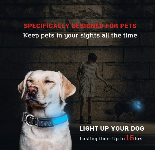 USB and Solar Charge Reflective Led Dog Collar | PetPals® - Stringspeed