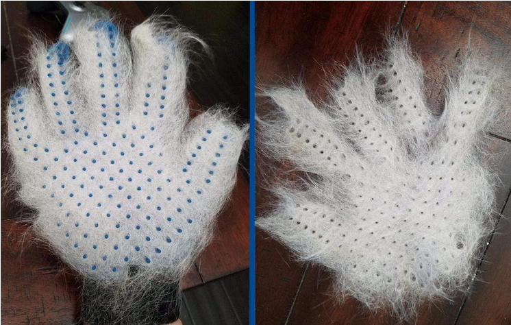 Pet Grooming Glove - Stringspeed