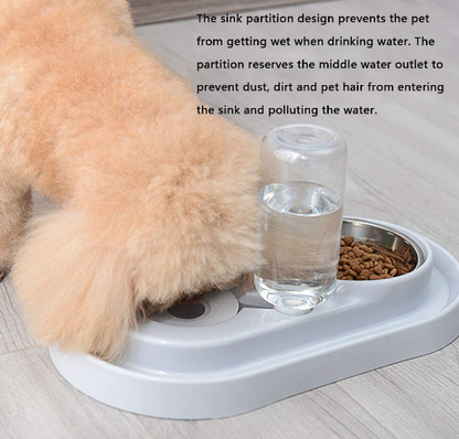 Stainless Steel Pet Bowls with Automatic Water Bottle | PetPals® - Stringspeed