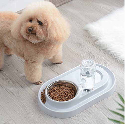 Stainless Steel Pet Bowls with Automatic Water Bottle | PetPals® - Stringspeed