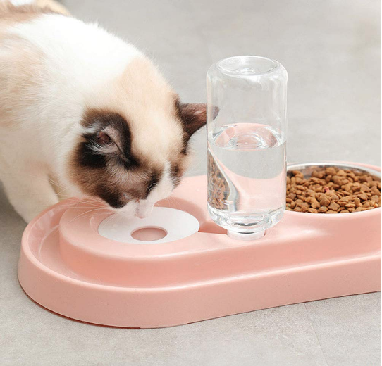 Stainless Steel Pet Bowls with Automatic Water Bottle | PetPals® - Stringspeed
