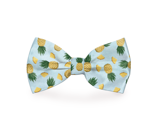 Tropic Like It's Hot Pineapple Dog Bow Tie | PetPals® - Stringspeed