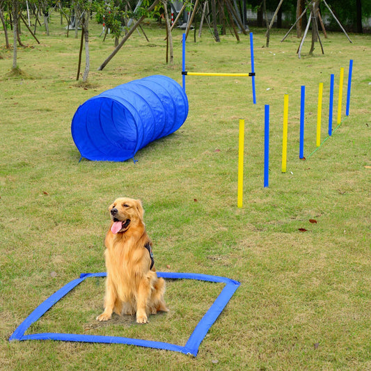 PawHut Dog Agility Starter Kit Pet Outdoor Exercise Training Set | PetPals® - Stringspeed