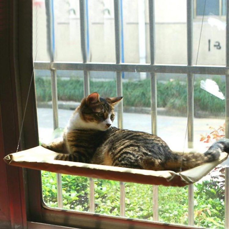 Cat Window Bed | PetPals® - Stringspeed