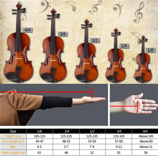 4/4 Acoustic Violin Case Bow Rosin Natural - Stringspeed