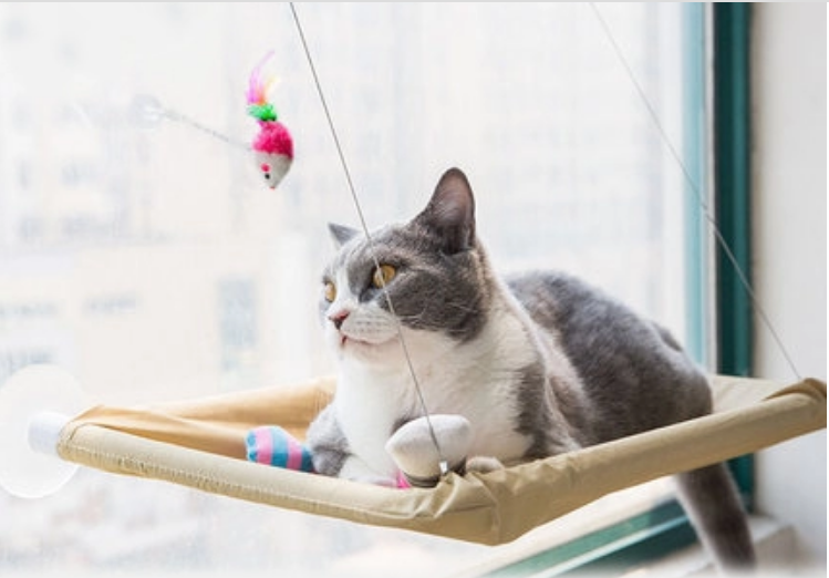 Cat Window Bed | PetPals® - Stringspeed