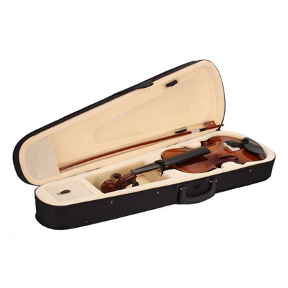 4/4 Acoustic Violin Case Bow Rosin Natural - Stringspeed