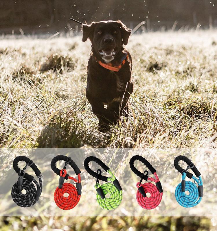 Yap & Paw Leash | PetPals® - Stringspeed