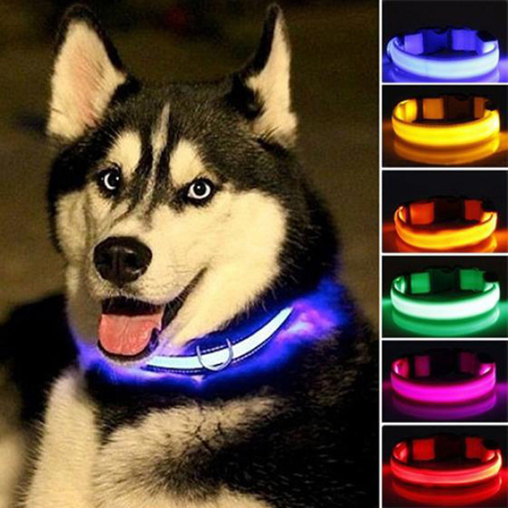 2 PCS Set Nylon LED Dog Collar | PetPals® - Stringspeed