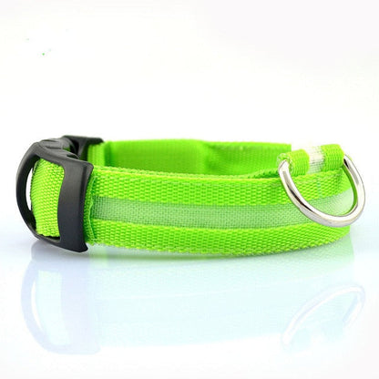 2 PCS Set Nylon LED Dog Collar | PetPals® - Stringspeed