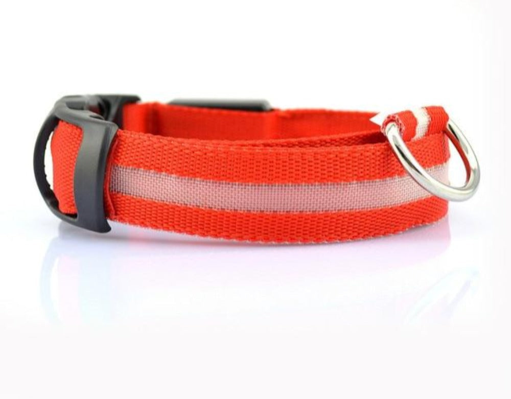 2 PCS Set Nylon LED Dog Collar | PetPals® - Stringspeed
