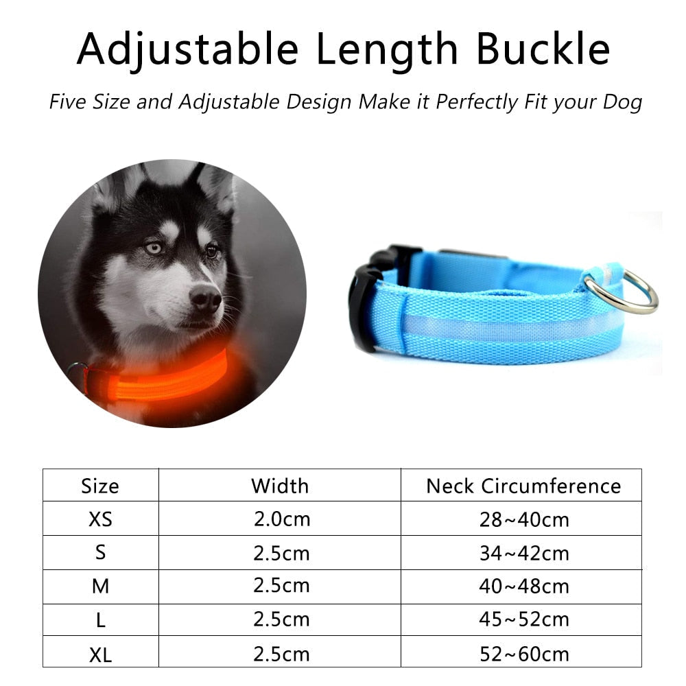 2 PCS Set Nylon LED Dog Collar | PetPals® - Stringspeed