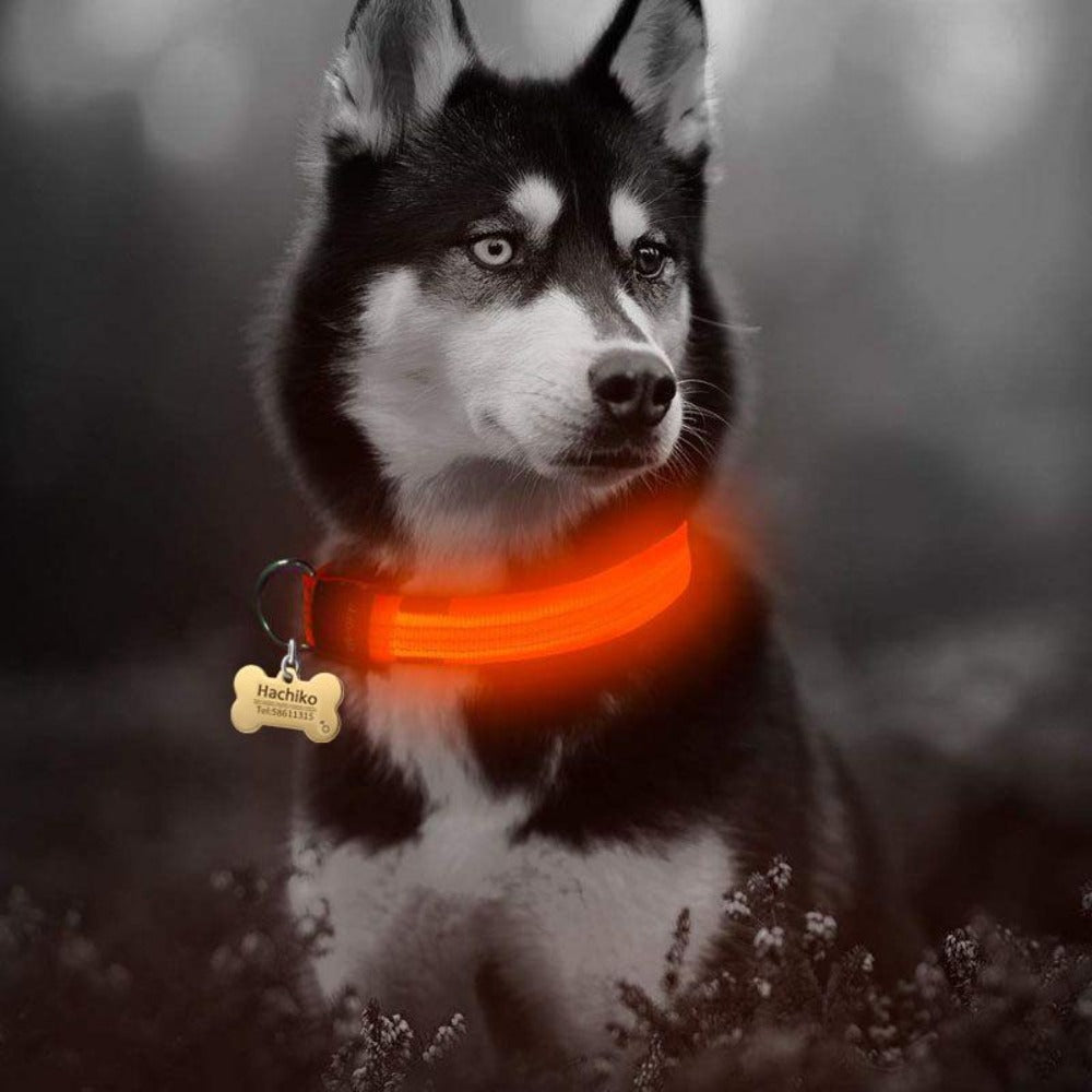 2 PCS Set Nylon LED Dog Collar | PetPals® - Stringspeed